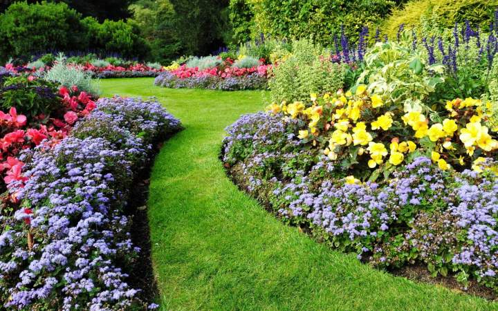 Jardin bien entretenu Amiens
