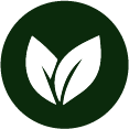 Logo remplacement souche