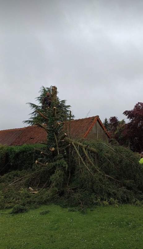 Abattage d'arbre Amiens