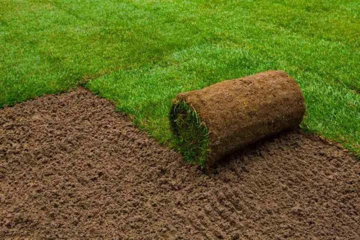 Gazon naturel en rouleau Amiens