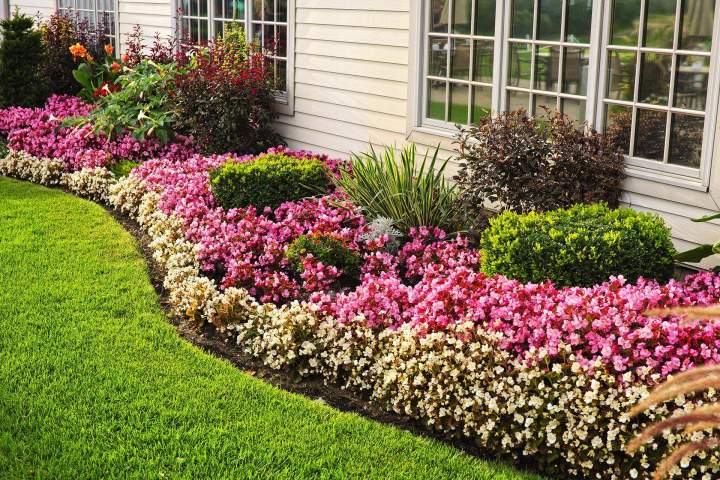 Maintenez la beauté de vos espaces verts.
