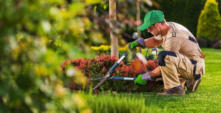 Expert en entretien de jardin Amiens