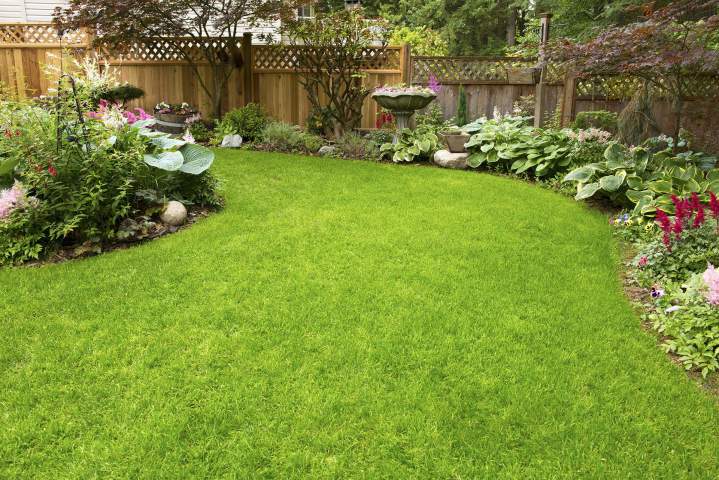 Imaginez et réalisez votre jardin idéal.